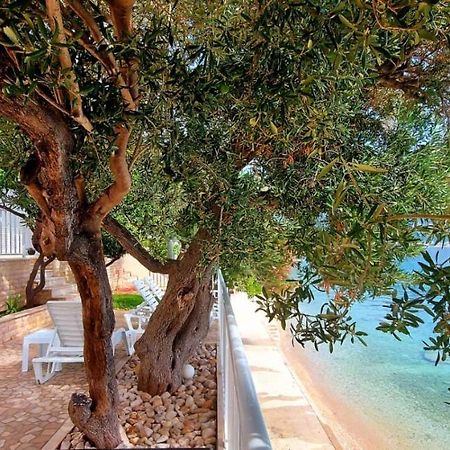 بوداكا Apartments Santic المظهر الخارجي الصورة