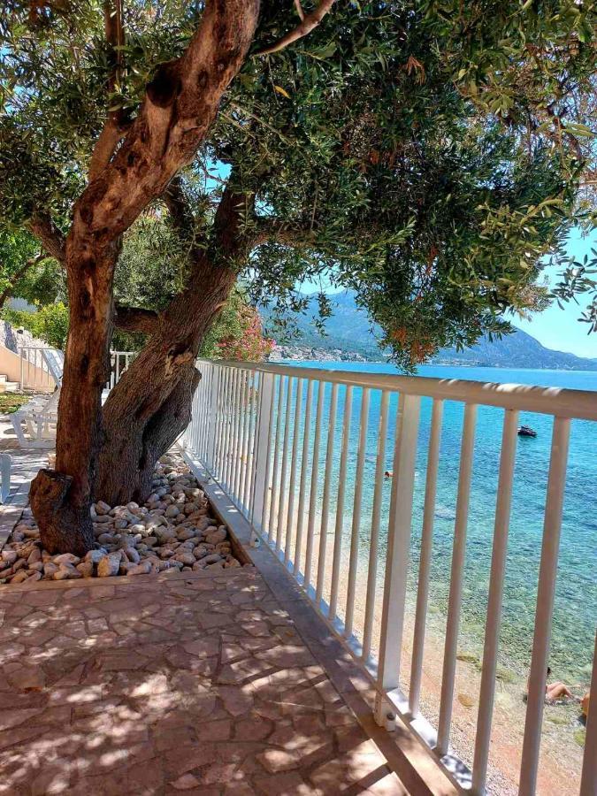 بوداكا Apartments Santic المظهر الخارجي الصورة